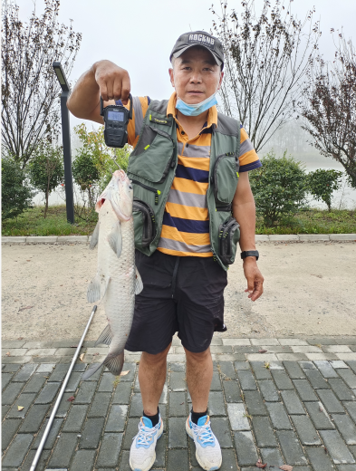 图片5_90381图片5